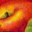 Preview of cross stitch pattern: #1338181