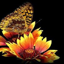 Cross stitch pattern: #1339972