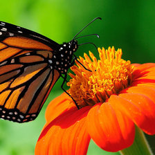 Cross stitch pattern: #1346633