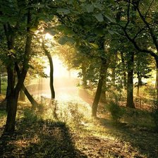 Cross stitch pattern: #1347040