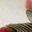 Preview of cross stitch pattern: #1348056