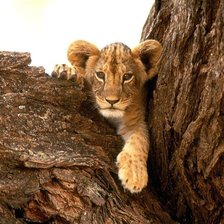 Cross stitch pattern: #1361241