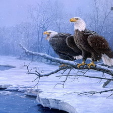 Cross stitch pattern: #1364508