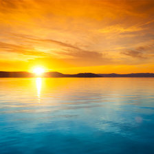 Cross stitch pattern: #1364513