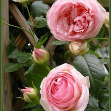 Cross stitch pattern: #1366401