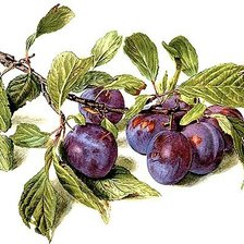 Cross stitch pattern: #1366790