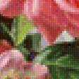 Preview of cross stitch pattern: #1369480