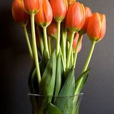 Cross stitch pattern: #1370543