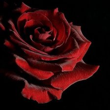 Cross stitch pattern: #1372754