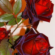 Cross stitch pattern: #1374349