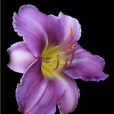 Cross stitch pattern: #1376042