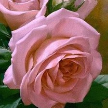 Cross stitch pattern: #1376834