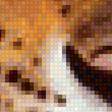 Preview of cross stitch pattern: #1376837