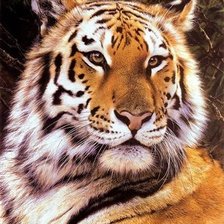 Cross stitch pattern: #1376837