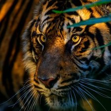 Cross stitch pattern: #1378932