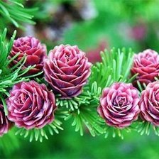 Cross stitch pattern: #1382657