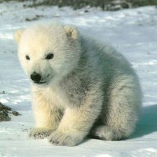 Cross stitch pattern: #1385976