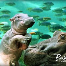 Cross stitch pattern: #1385987