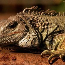 Cross stitch pattern: #1385991