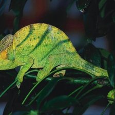 Cross stitch pattern: #1385992