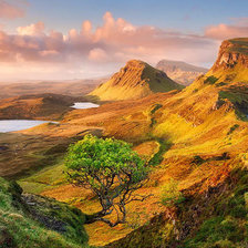 Cross stitch pattern: #1386832