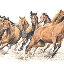Cross stitch pattern: #1388916