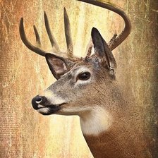 Cross stitch pattern: #1392117