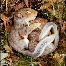 Cross stitch pattern: #1392302