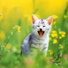 Cross stitch pattern: #1393111