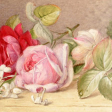 Cross stitch pattern: #1394058