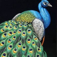 Cross stitch pattern: #1398832