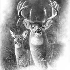 Cross stitch pattern: #1402524
