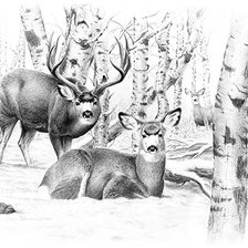 Cross stitch pattern: #1402534
