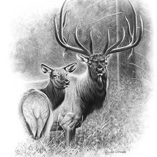 Cross stitch pattern: #1402627