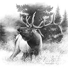 Cross stitch pattern: #1402630