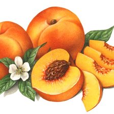 Cross stitch pattern: #1403131