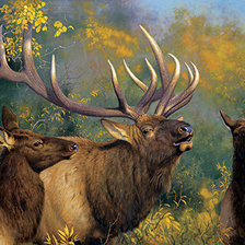 Cross stitch pattern: #1403491