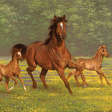 Cross stitch pattern: #1403726