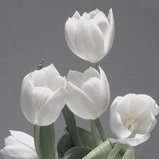 Cross stitch pattern: #1403998