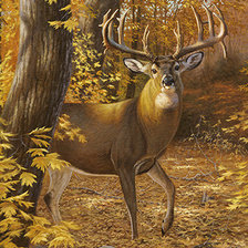 Cross stitch pattern: #1404018