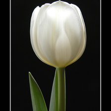 Cross stitch pattern: #1404609