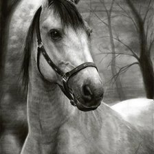 Cross stitch pattern: #1404626
