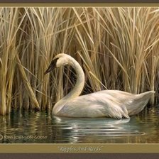 Cross stitch pattern: #1404628