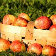 Cross stitch pattern: #1407136