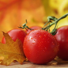 Cross stitch pattern: #1407146