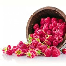 Cross stitch pattern: #1407156