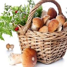 Cross stitch pattern: #1407157