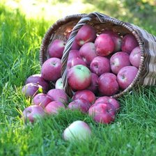 Cross stitch pattern: #1407186