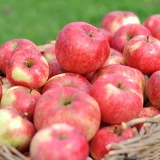 Cross stitch pattern: #1407187