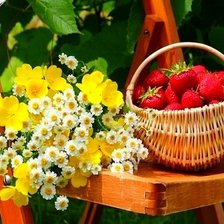 Cross stitch pattern: #1407190